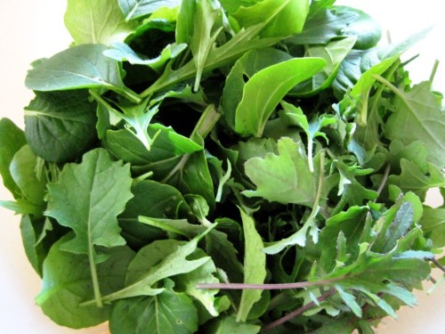 First harvest of baby greens: mesclun salad mix and kale